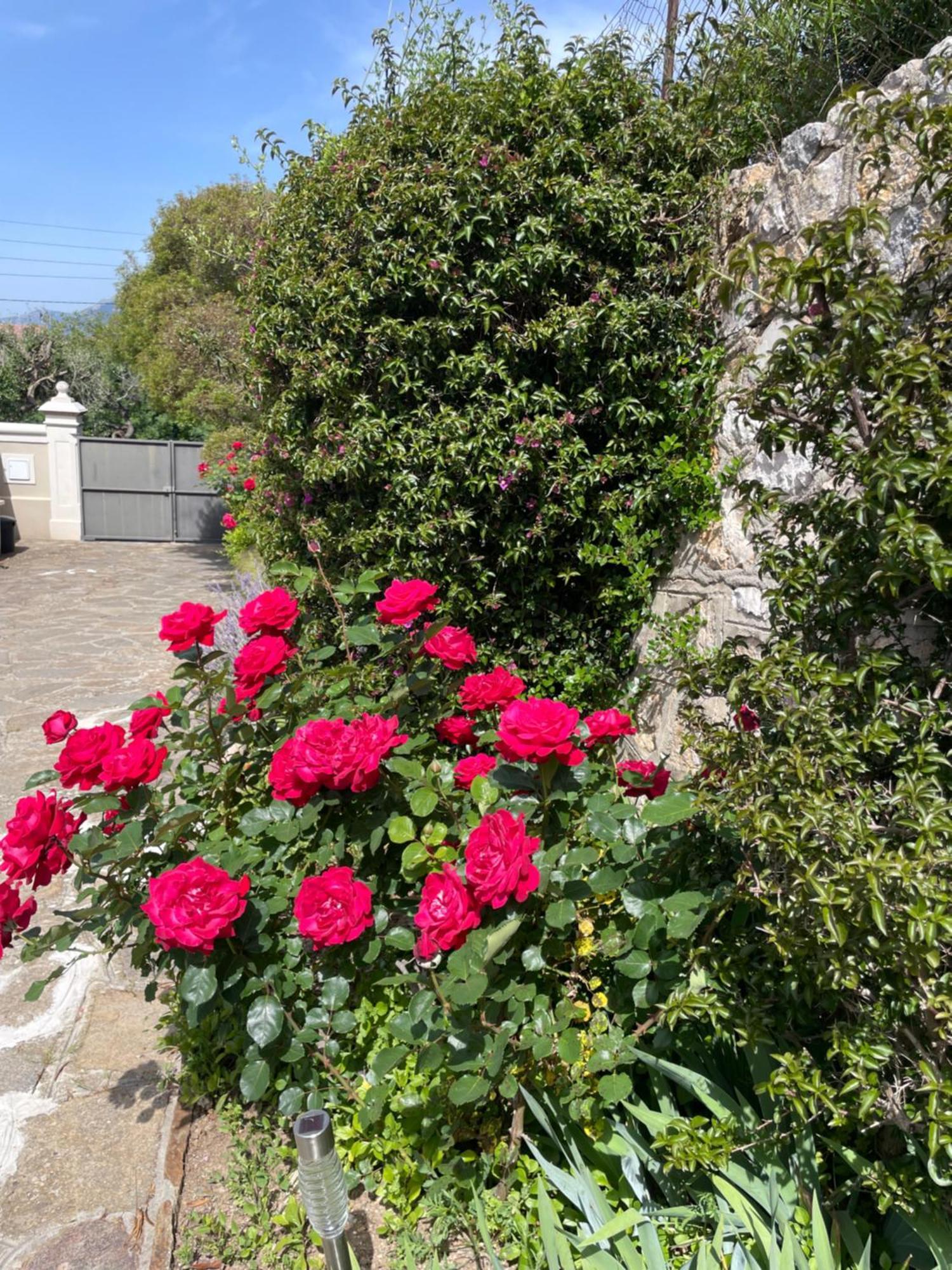 Apartmán Les Trefles Hyères Exteriér fotografie